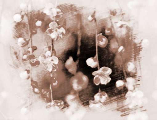 面相看谁的桃花运比较好