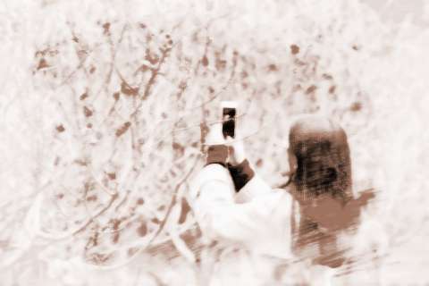 人到中年桃花运旺盛的星座