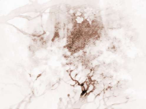 怎么免费测八字姻缘解读