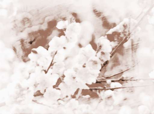 心理测试免费预测姻缘