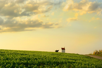 点击阅读【柳姓的得姓始祖是谁?在百家姓中排名第几位?】 柳姓的得姓始祖是谁?在百家姓中排名第几位?