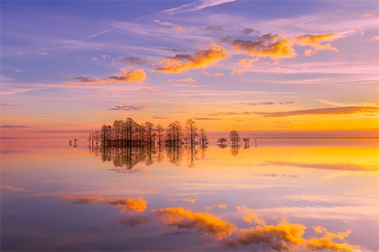 罗姓是如何发展起源的？罗姓人口数量有多少？