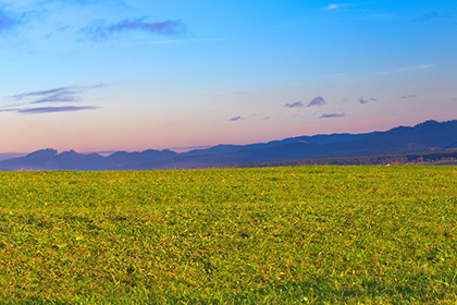 点击阅读【郗姓历史名人事迹,现代明星简介】 郗姓历史名人事迹,现代明星简介