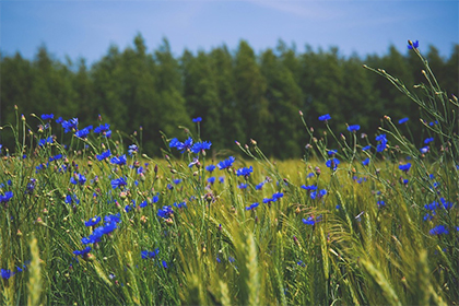 富姓历史中有没有出名人？现代明星有没有富姓？