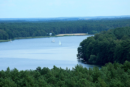 点击阅读【富姓的得姓始祖是谁?在百家姓中排第几位?】 富姓的得姓始祖是谁?在百家姓中排第几位?