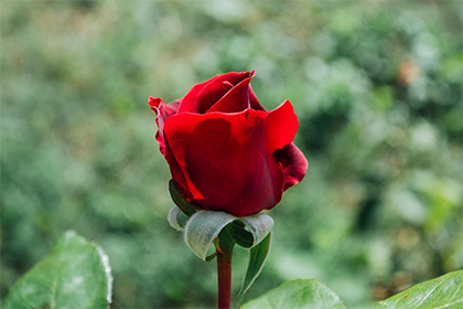 点击阅读【伍姓历史名人有哪些?伍姓明星多吗?】 伍姓历史名人有哪些?伍姓明星多吗?