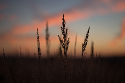 点击阅读【有申姓明星吗?历史名人中有没有申姓人?】 有申姓明星吗?历史名人中有没有申姓人?