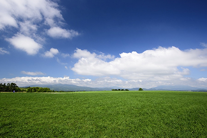 2023年4月1日出生男宝宝名字子开头