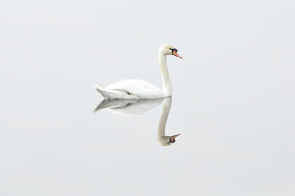 点击阅读【有没有姓任的明星?历史名人中有任姓吗?】 有没有姓任的明星?历史名人中有任姓吗?