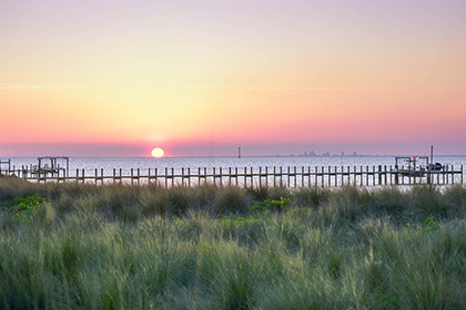 印姓历史名望，印姓现代明星