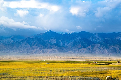 点击阅读【姬姓历史名人名望有谁?有姓姬的明星吗?】 姬姓历史名人名望有谁?有姓姬的明星吗?