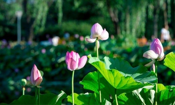 婚姻经营小技巧，你学会了几个？