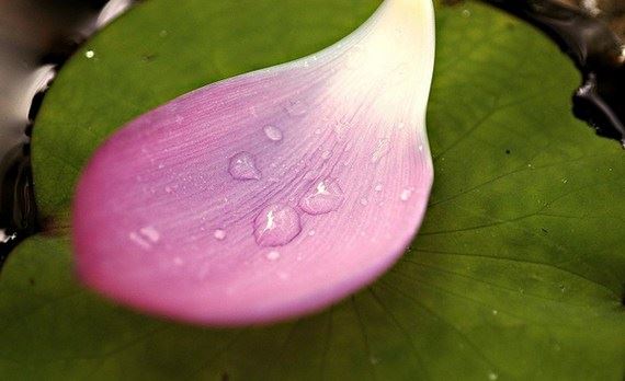 点击阅读【超度婴灵法会怎么回向】 超度婴灵法会怎么回向