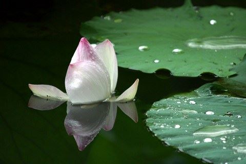 和合法事最长多久复合 过来人的经历告诉你