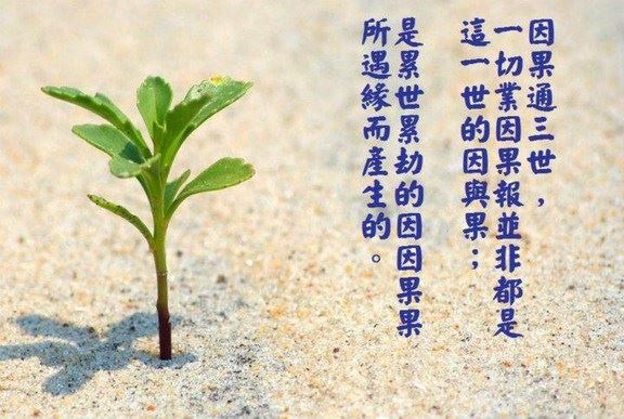 分手后要不要挽回?分手后怎么挽回?
