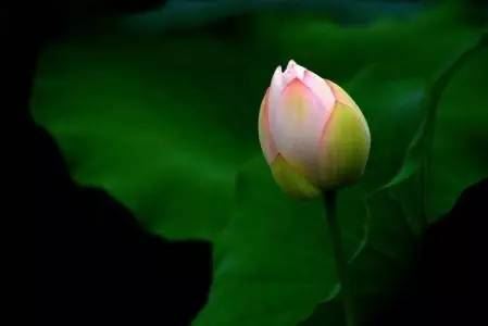 婚姻经营的技巧和方法的书，看完后会更加珍惜彼此。