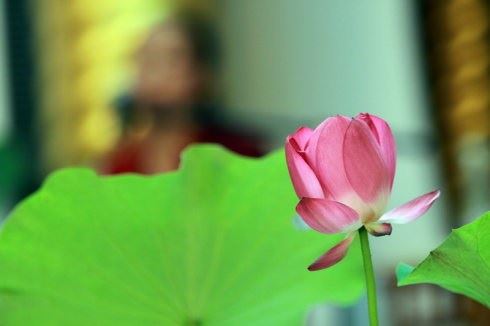 点击阅读【水陆法会超度堕胎婴灵】 水陆法会超度堕胎婴灵